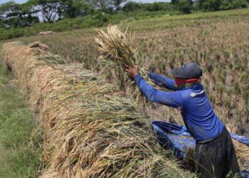 BMKG: Lampung Terdampak El Nino