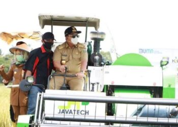 Ancaman El Nino, Lampung Penyangga Pasokan Pangan Nasional 