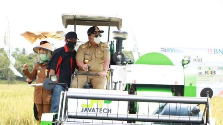 Ancaman El Nino, Lampung Penyangga Pasokan Pangan Nasional 