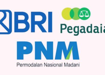 Segmen Ultra Mikro Lending dan Resiko