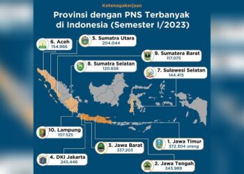 Pulau Jawa Dominan. Lampung Urutan 10 PNS Terbanyak