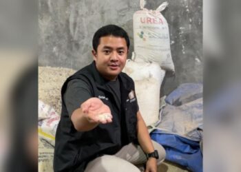 Atras Mafazi: Stabilkan Harga Damar