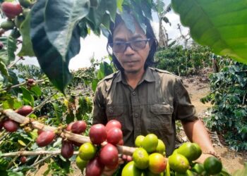 Inspiratif! Supriyono Sang Penemu Sistem Pagar di Lampung