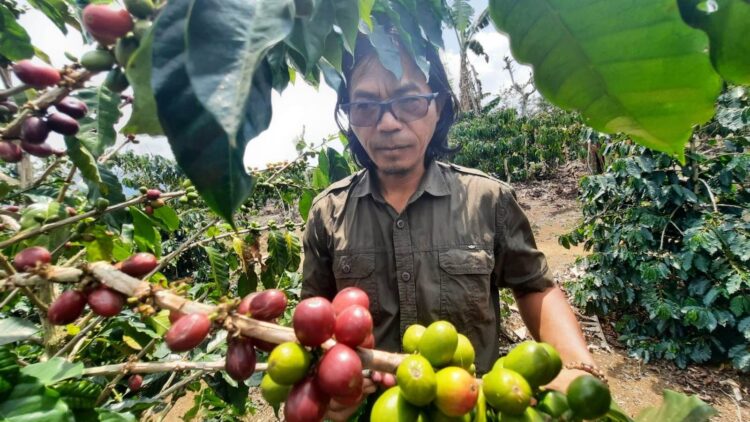 Inspiratif! Supriyono Sang Penemu Sistem Pagar di Lampung