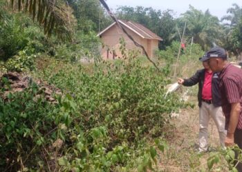 Ombudsman Cek Keluhan Listrik Lampung Timur