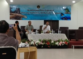 204 Ribu Burung Liar Sumatera Gagal Diselundupkan