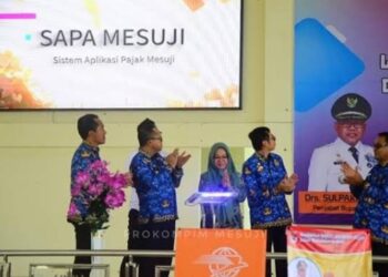 9 Desa di Mesuji Nunggak Pajak