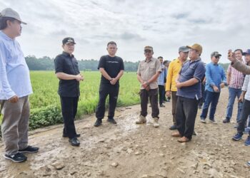 Pj Bupati Pringsewu Turun Tangan Atasi Jalan Rusak