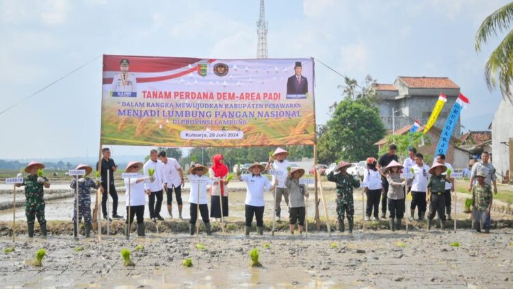 Kunjungan Kemenhan: Pesawaran Siap Tanam 10 Kali Setahun