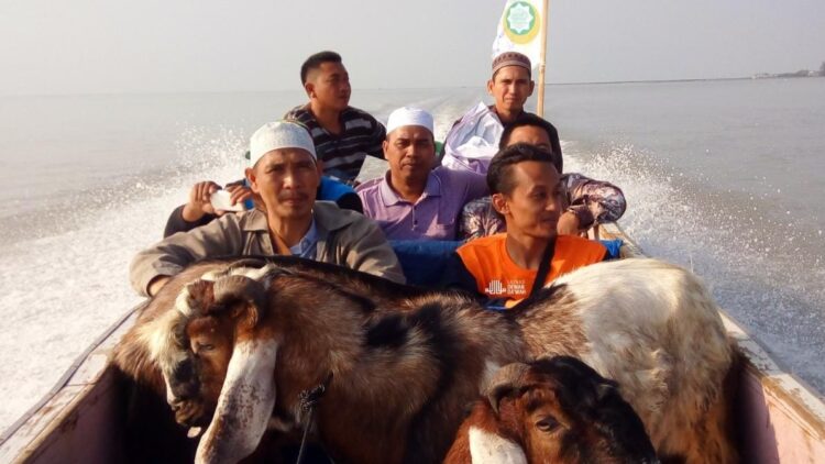 Sebar kurban, Dewan Dakwah Lampung Bagikan 35 Sapi dan 91 Kambing