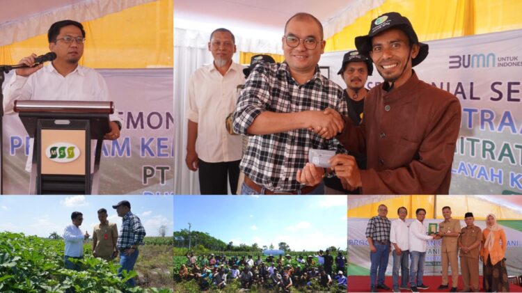 Okra: Bukti Nyata Komitmen Mitratani Membantu Petani Lumajang