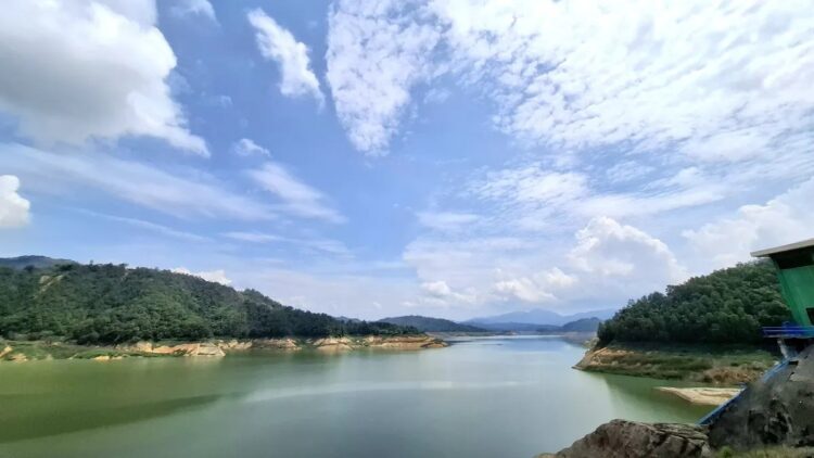 Lampung Tambah Luas Tanam Meski Hadapi Kemarau