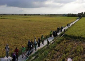 Alokasi Dana Rp450 Miliar untuk Perbaikan Jalan Pertanian Lampung