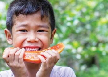 Konsumsi Pepaya di Lampung Selatan Melonjak Tajam