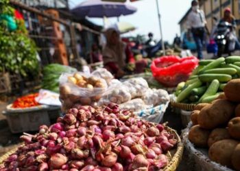 Inflasi Lampung Mereda, Harga Pangan Terkendali