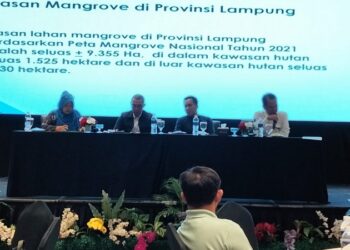 Pemberdayaan Ekonomi Melalui Mangrove: Lampung Siap Maju Menuju Ekowisata Berkelanjutan