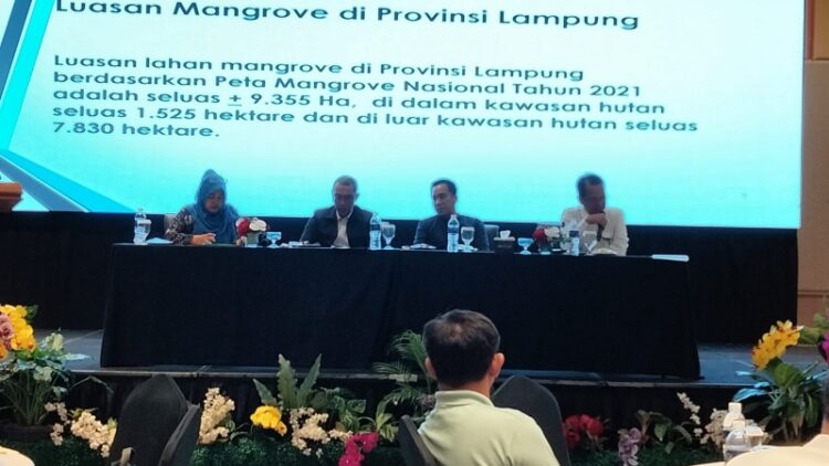 Pemberdayaan Ekonomi Melalui Mangrove: Lampung Siap Maju Menuju Ekowisata Berkelanjutan