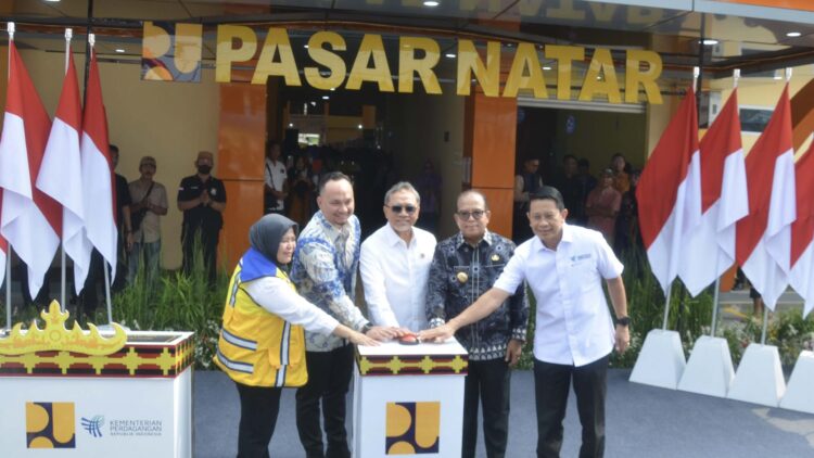 Dorong Ekonomi Lokal, Pasar Natar Lampung Selatan Resmi Dibuka