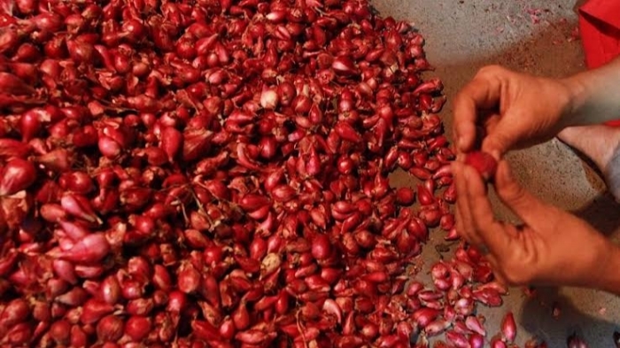 Bawang Merah dan Kopi Bubuk Dongkrak Inflasi Lampung Oktober 2024