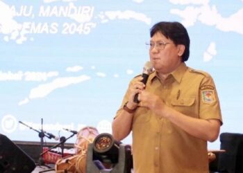 Desa Hanura di Lampung Sabet Gelar Desa Teladan PKAD 2024
