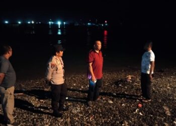 Fenomena Alam! Ikan Cekong di Pantai Kota Agung Tanggamus Lompat ke Daratan