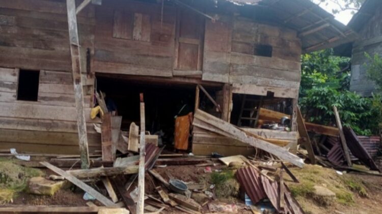 Kawanan Gajah Liar Hancurkan 15 Rumah di Lampung Barat