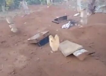 Pemakaman Umum di Lampung Barat Hancur Akibat Amukan Kawanan Gajah Liar