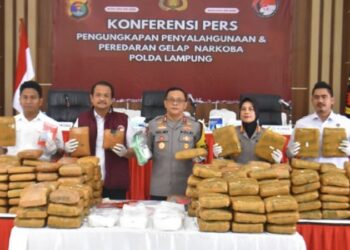 Polda Lampung Bongkar Jaringan Narkoba Rp14 Miliar dalam Sebulan
