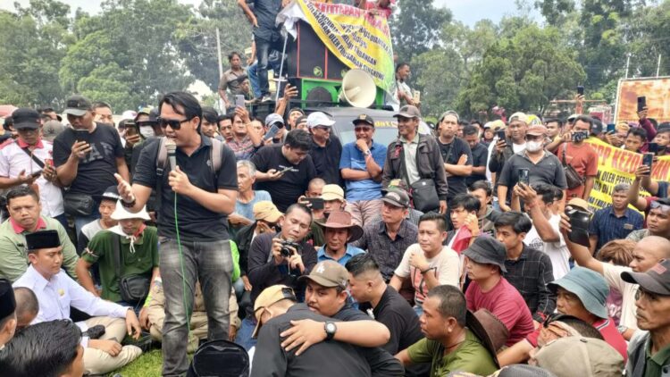 Harga Anjlok, Petani Singkong Lampung Utara Desak Stop Impor Aci