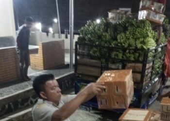 Burung Ilegal Ditutupi Pisang, Karantina Lampung Ungkap Modus Licik