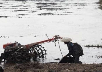 Swasembada Pangan, Lampung Bidik 6 Kabupaten untuk Program Cetak Sawah 2025