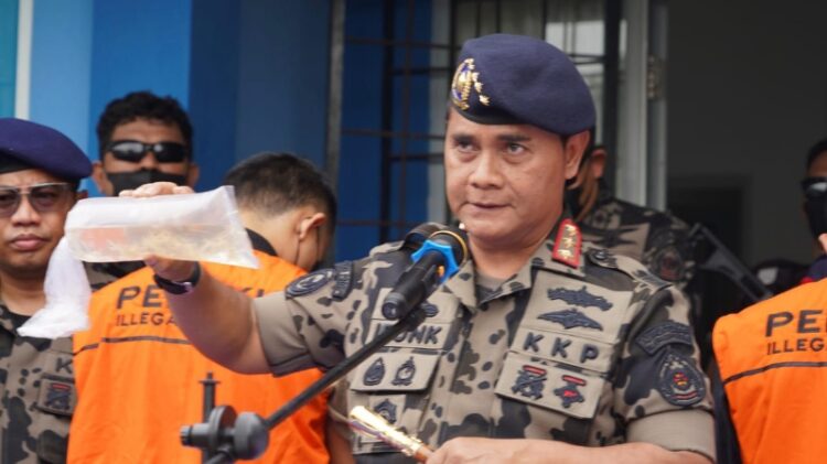 KKP Libatkan PPATK Buru Aset Penyelundup Lobster Lampung