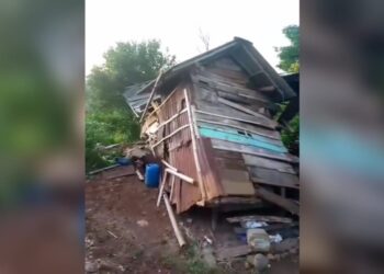 Gajah Liar Kembali Mengamuk, 7 Rumah di Tanggamus Porak Poranda