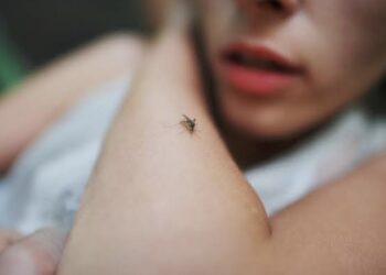 Awal 2025, Lampung Waspada DBD: Kasus 2024 Capai 9096