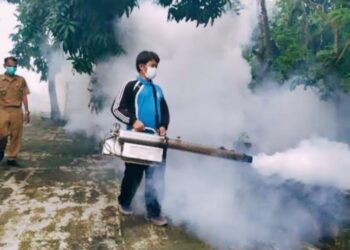 DBD Mewabah di Lampung Utara, 3 Nyawa Melayang dalam 6 Hari