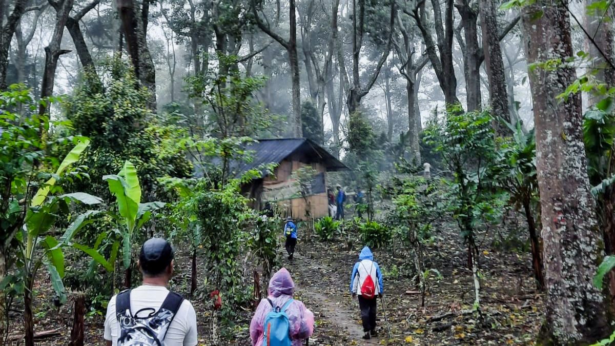 Tahura Wan Abdul Rahman, Surga Ekowisata Lampung yang Menanti Dijelajahi