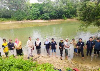 Tangkal Abrasi, IKA Sylva Unila Bangun Sabuk Hijau di Lampung Selatan