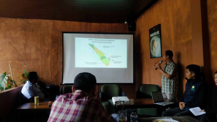 Lampung Catatkan Rekor Penyitaan Satwa Liar Tertinggi di Indonesia