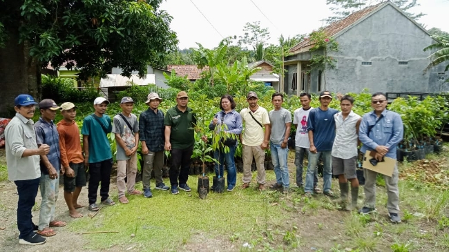 KTH Tunas Muda Bangun Demplot Agroforestri, Petani Hutan Pesawaran Makin Sejahtera