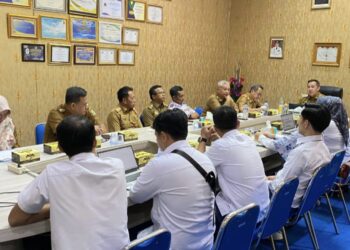 Pemkab Pesawaran dan PLN Bahas Sinkronisasi Data Pelanggan untuk Tingkatkan PAD
