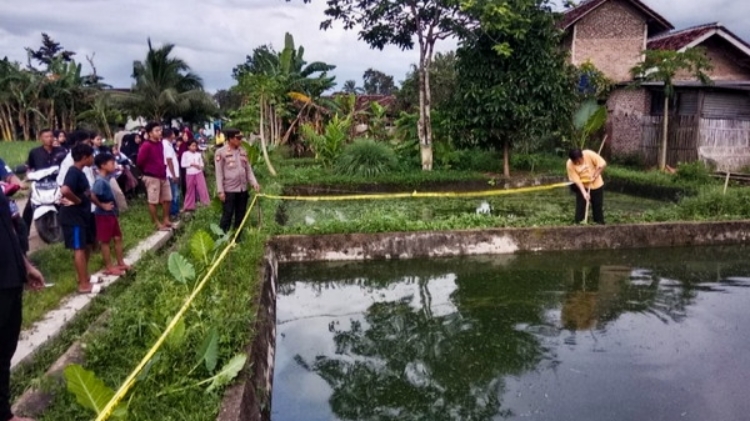 Balita di Pringsewu Tewas Tenggelam di Kolam Ikan, Sempat Pamit ke Rumah Nenek