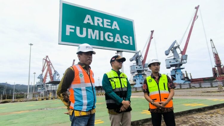 Percepat Ekspor, Fasilitas Fumigasi di Pelabuhan Panjang Resmi Beroperasi