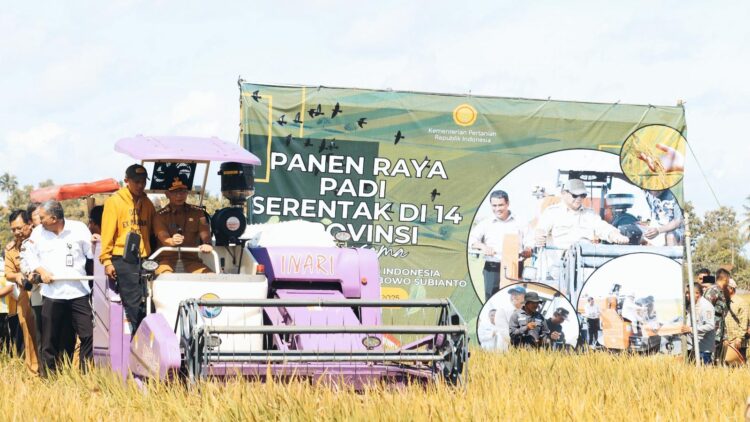 Harga Gabah Oke, Irigasi dan Penyerapan Jadi PR di Panen Raya Lampung