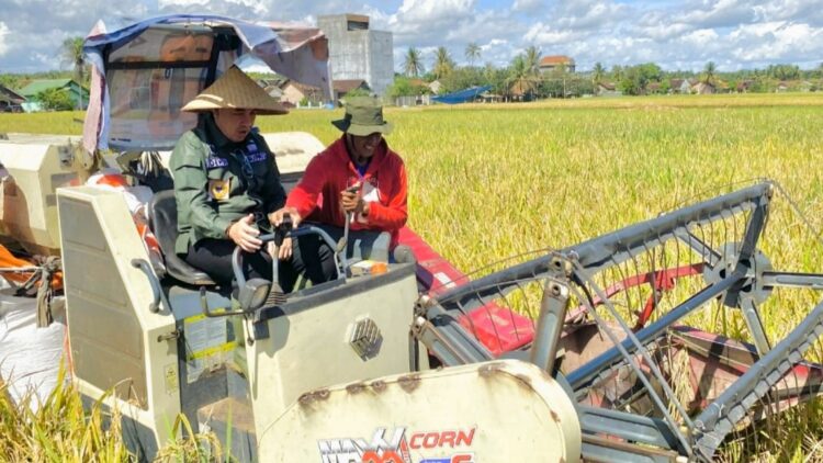 Fokus Pengairan dan Serapan Gabah, Bupati Pesawaran Genjot Produktivitas Petani