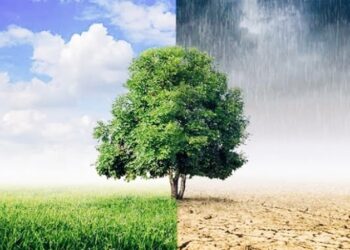 Lampung Rawan Bencana, Banjir dan Puting Beliung Mengintai di Masa Pancaroba