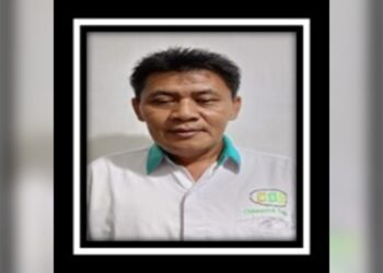 Layu di Negeri Edamame