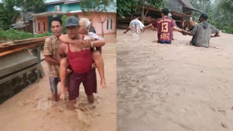 Banjir Bandang Terjang 3 Kecamatan di Tanggamus, Rumah Terendam, Ternak Hanyut, dan Ancaman Buaya