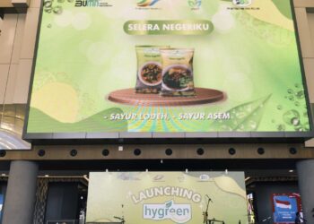 Jejak 1 Tahun Hygreen, Produk Anak PTPN Group di Pasar Nasional