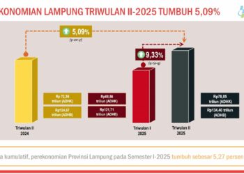 Lampung Jadi Juara 3 Pertumbuhan Ekonomi, Dijuluki The King of Sumatera oleh BI 