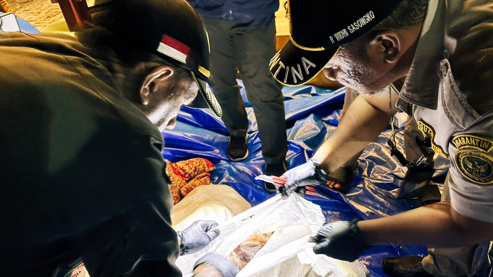 Cegah Sebar Penyakit, Karantina Lampung Bakar 3,9 Ton Daging Ayam dan Jeroan Busuk